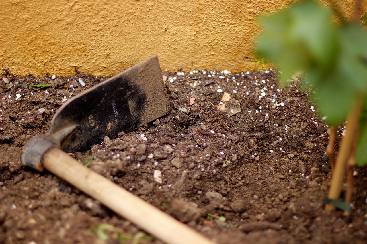 A garden shovel in turned soil beside a yellow wall and a young plant