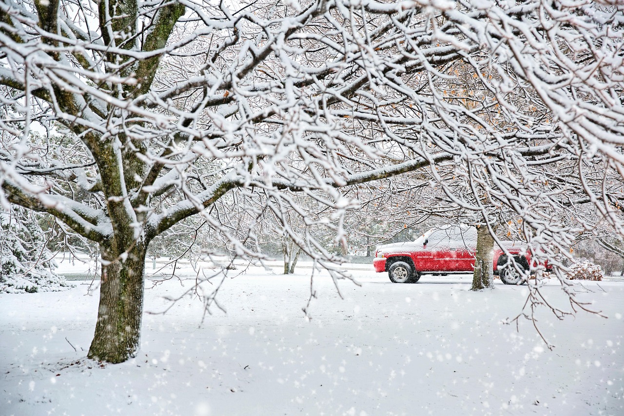 A red pickup truck parked in a snow-covered field beside bare trees