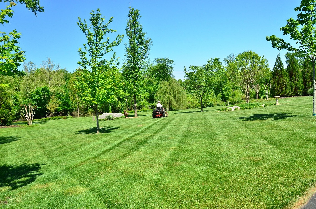 A riding mower cutting mown stripes across a green lawn, with trees and a clear sky